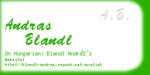 andras blandl business card